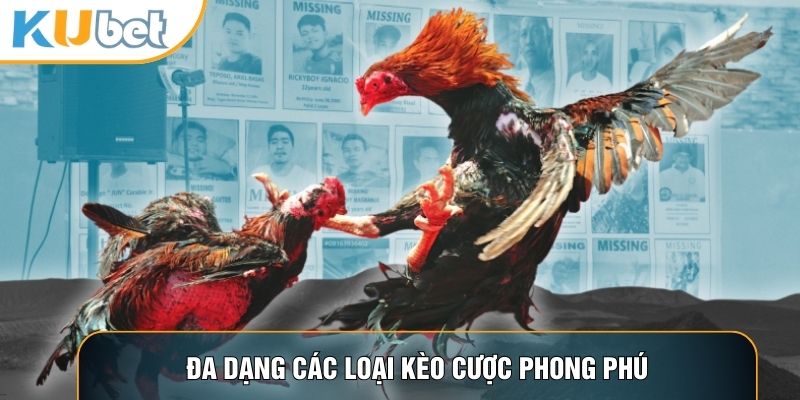 Đa dạng các loại kèo cược phong phú